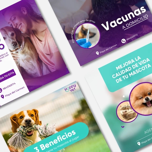 Más ejemplos de contenido para Happy Vet